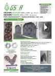 GS2A (Goncalves Serrurerie Aluminium Automatisme)