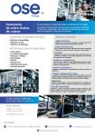 OSE GROUP