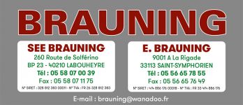 BRAUNING